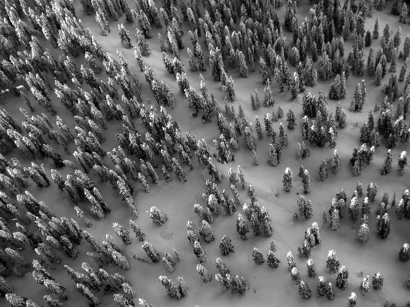 Das Johann Stuben am Arlberg Dış mekan fotoğraf